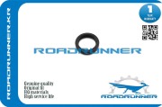 ROADRUNNER R * * * 1