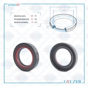 GELZER 0 * * * T