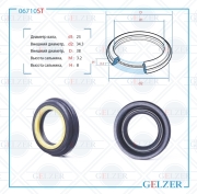GELZER 0 * * * T