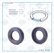 GELZER 0 * * * X