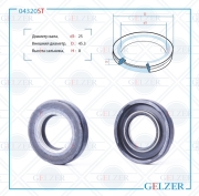 GELZER 0 * * * T