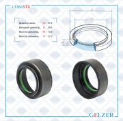 GELZER 1 * * * X